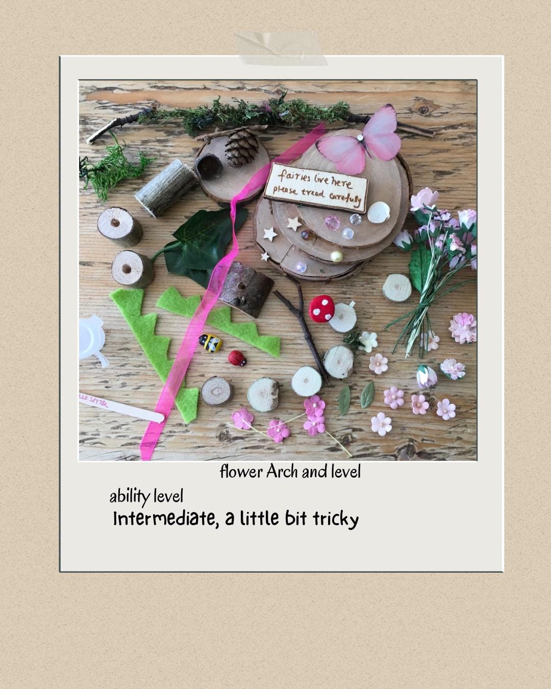 DIY Fairy Garden Kit with sign post and flower arch