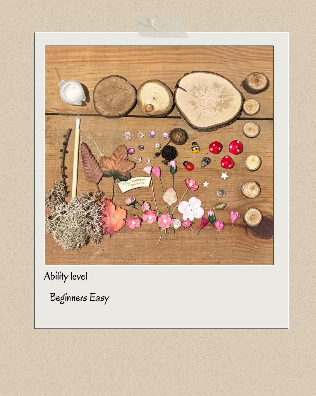 DIY Fairy Garden Kit with a ‘ tiny toadstool garden ‘sign and three toadstools