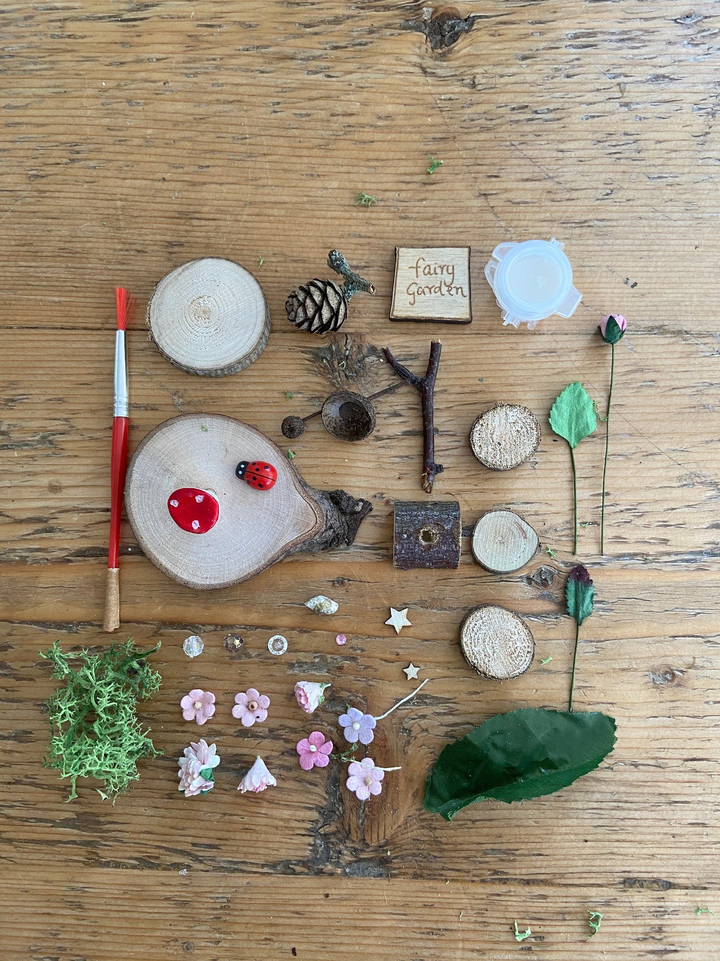 DIY Fairy Garden kit with sign and tiny toadstool