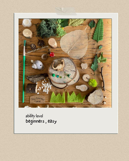 DIY Tiny Dinosaur World kit craft kit