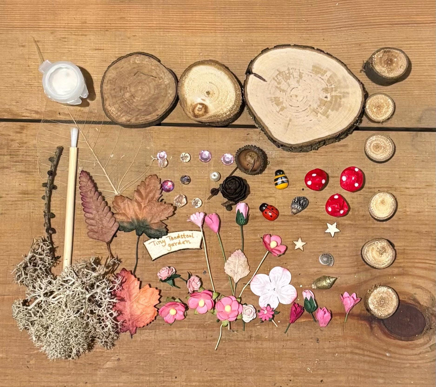 DIY Fairy Garden Kit with a ‘ tiny toadstool garden ‘sign and three toadstools