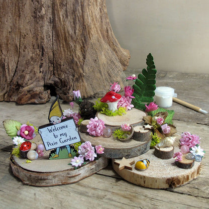 Diy fairy garden kit in collaboration with 'Pixie land" with limited edition Pixie from “ Pixieland “ only 4 left