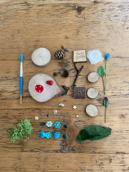 DIY Fairy Garden kit with sign and tiny toadstool