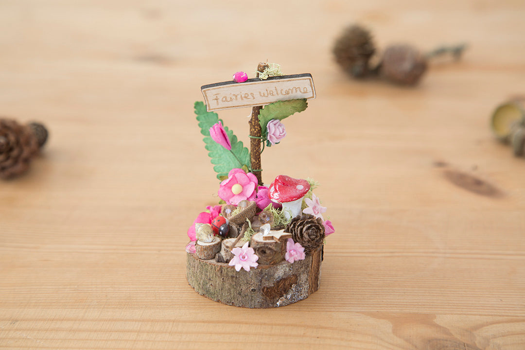 DIY Fairy Garden kit with sign and tiny toadstool