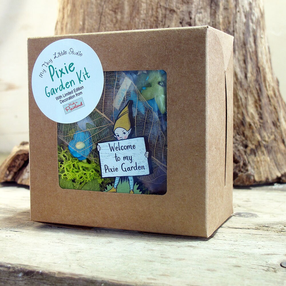 Diy fairy garden kit in collaboration with 'Pixie land" with limited edition Pixie from “ Pixieland “ only 4 left