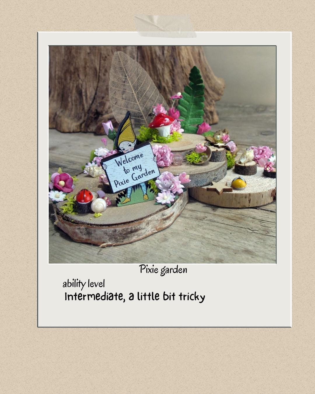 Diy fairy garden kit in collaboration with 'Pixie land" with limited edition Pixie from “ Pixieland “ only 4 left