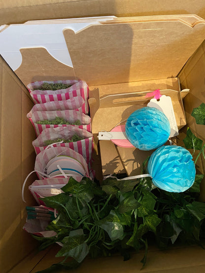 DIY Fairy Garden Complete 'Party in a Box'