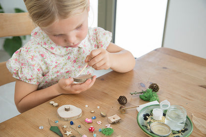 DIY Fairy Garden kit with sign and tiny toadstool