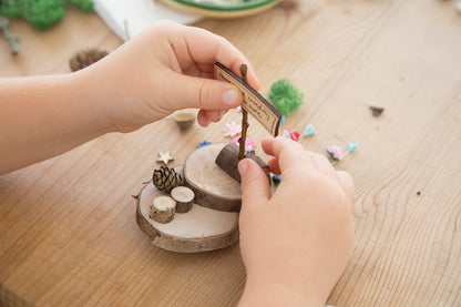 DIY Tiny Fairy Garden Kit with sign and toadstool