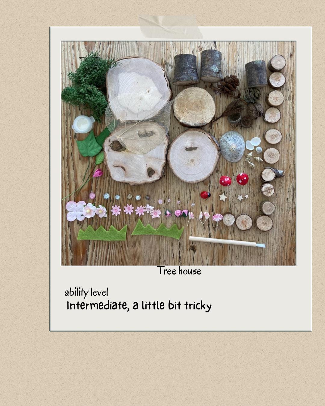 DIY Fairy Tree House kit