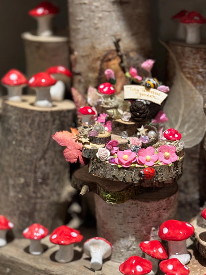 DIY Fairy Garden Kit with a ‘ tiny toadstool garden ‘sign and three toadstools