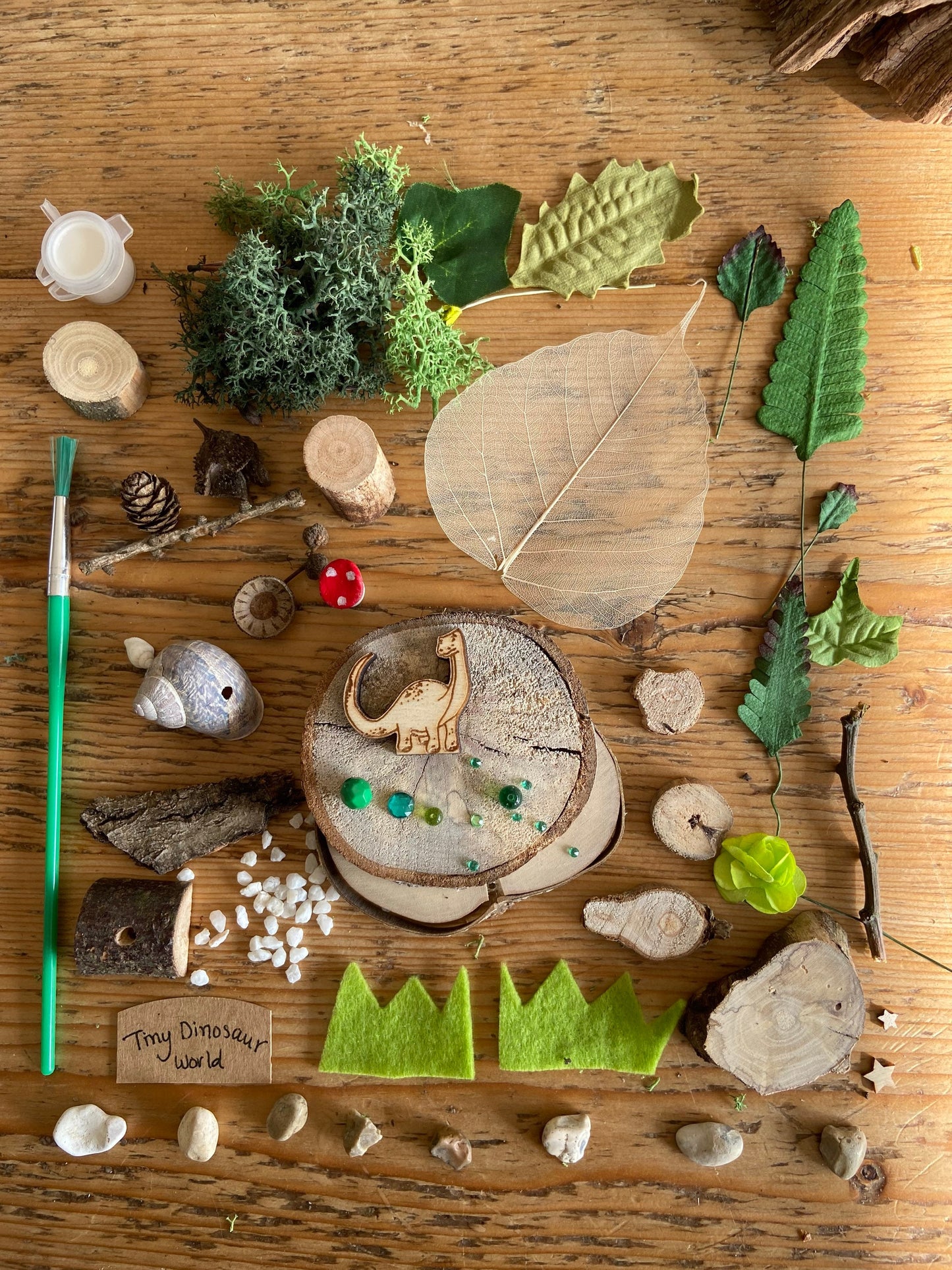 DIY Tiny Dinosaur World kit craft kit